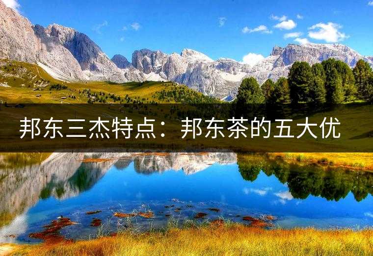 邦東三杰特點：邦東茶的五大優點和五大缺點