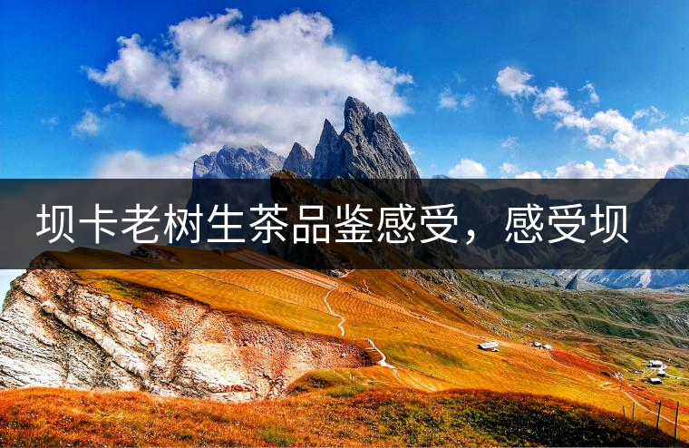 壩卡老樹生茶品鑒感受,感受壩卡茶的魅力 壩卡老樹生茶品鑒感受,感受壩卡茶的魅力