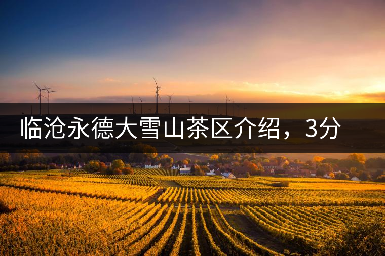 臨滄永德大雪山茶區介紹,3分鐘了解永德大雪山古樹茶 臨滄永德大雪山茶區介紹,3分鐘了解永德大雪山古樹茶