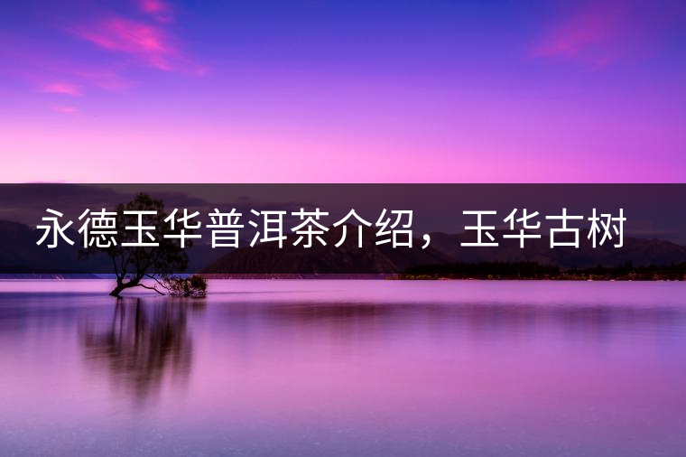 永德玉華普洱茶介紹,玉華古樹茶口感特點 永德玉華普洱茶介紹,玉華古樹茶口感特點