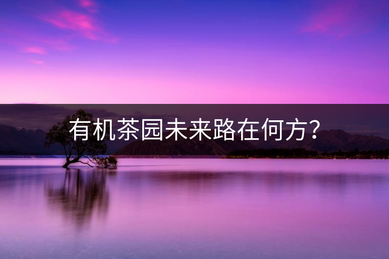 有機(jī)茶園未來路在何方? 有機(jī)茶園未來路在何方?
