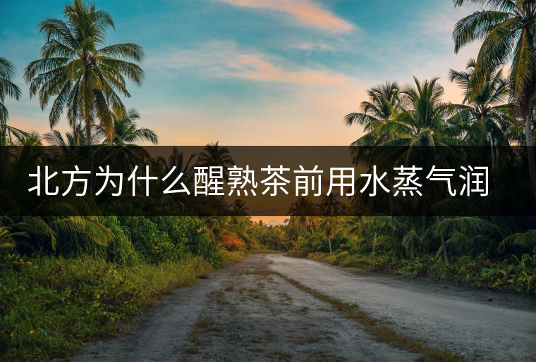 北方為什么醒熟茶前用水蒸氣潤一下?有何用處? 北方為什么醒熟茶前用水蒸氣潤一下?有何用處?