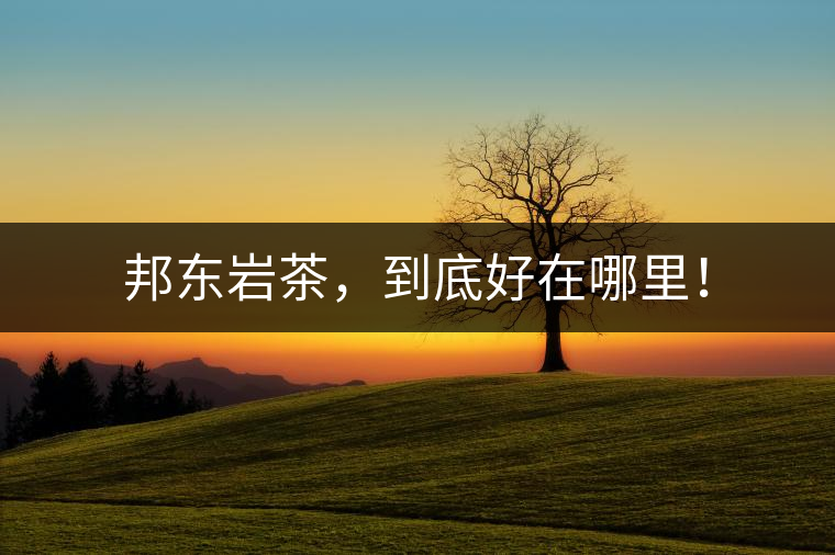 邦東巖茶,到底好在哪里! 邦東巖茶,到底好在哪里!