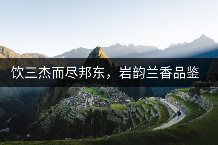 飲三杰而盡邦東，巖韻蘭香品鑒：生于山石上，韻味正當(dāng)