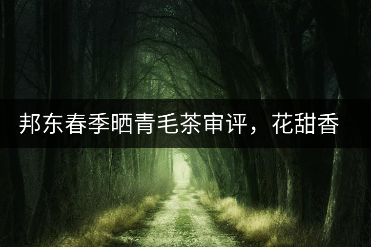 邦東春季曬青毛茶審評，花甜香高揚甘爽潤滑