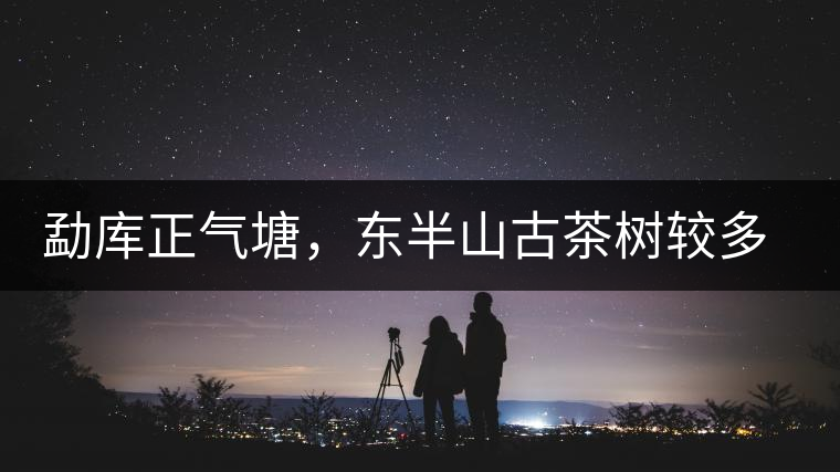 勐庫正氣塘,東半山古茶樹較多的寨子 勐庫正氣塘,東半山古茶樹較多的寨子