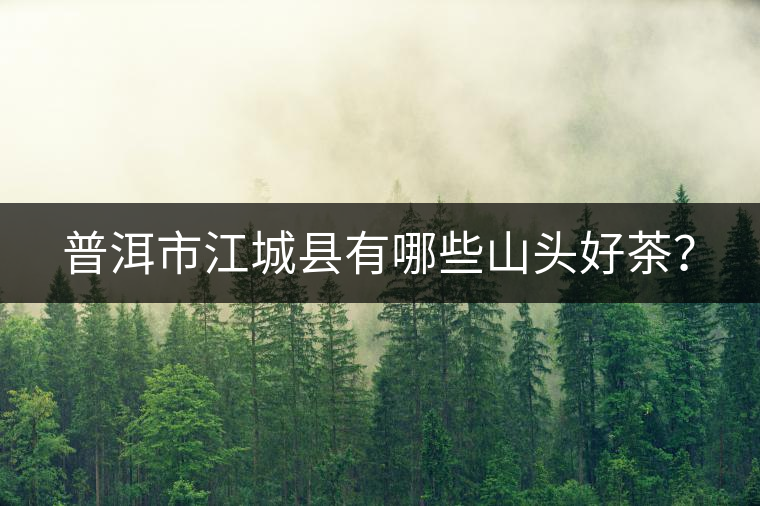 普洱市江城縣有哪些山頭好茶？