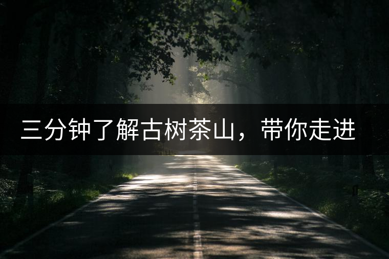 三分鐘了解古樹茶山,帶你走進西蒙佛殿山 三分鐘了解古樹茶山,帶你走進西蒙佛殿山