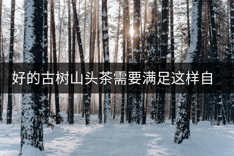 好的古樹山頭茶需要滿足這樣自然條件,以大忠山為例! 好的古樹山頭茶需要滿足這樣自然條件,以大忠山為例!