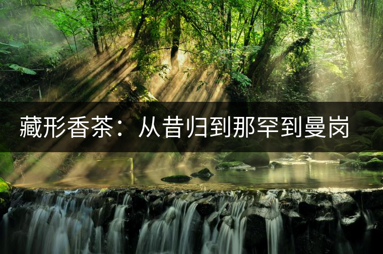 藏形香茶:從昔歸到那罕到曼崗,邦東古茶藏著一條規(guī)律! 藏形香茶:從昔歸到那罕到曼崗,邦東古茶藏著一條規(guī)律!