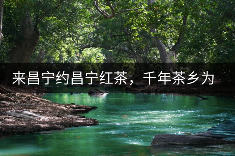 來昌寧約昌寧紅茶,千年茶鄉(xiāng)為您開啟生態(tài)之旅 來昌寧約昌寧紅茶,千年茶鄉(xiāng)為您開啟生態(tài)之旅