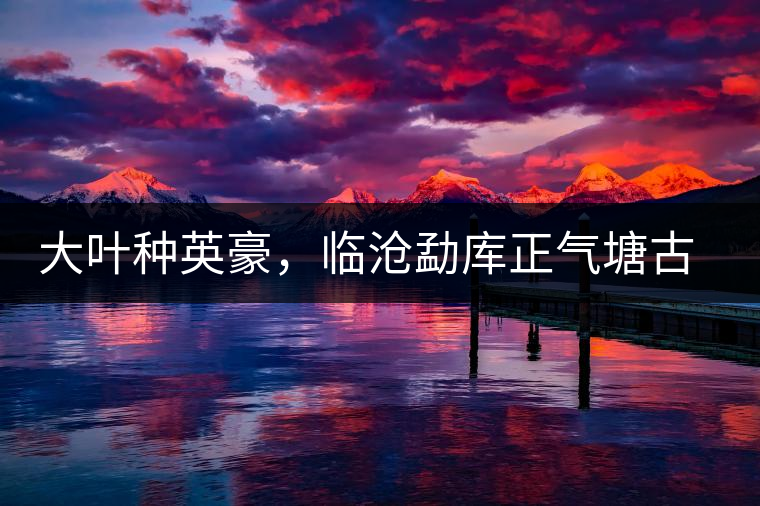 大葉種英豪,臨滄勐庫正氣塘古樹茶介紹 大葉種英豪,臨滄勐庫正氣塘古樹茶介紹