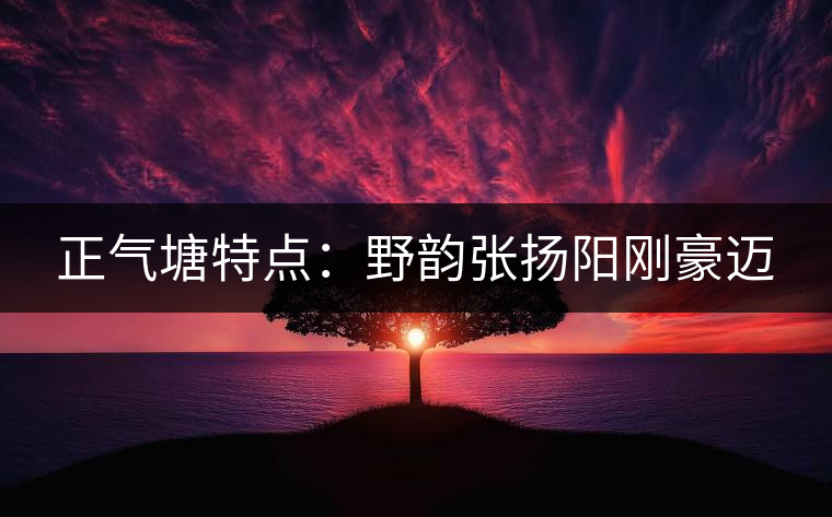 正氣塘特點(diǎn):野韻張揚(yáng)陽(yáng)剛豪邁 正氣塘特點(diǎn):野韻張揚(yáng)陽(yáng)剛豪邁