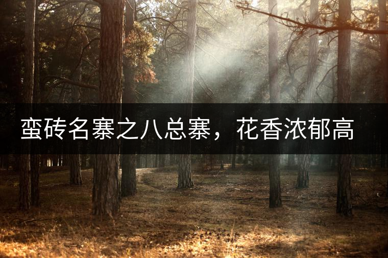 蠻磚名寨之八總寨,花香濃郁高揚 蠻磚名寨之八總寨,花香濃郁高揚