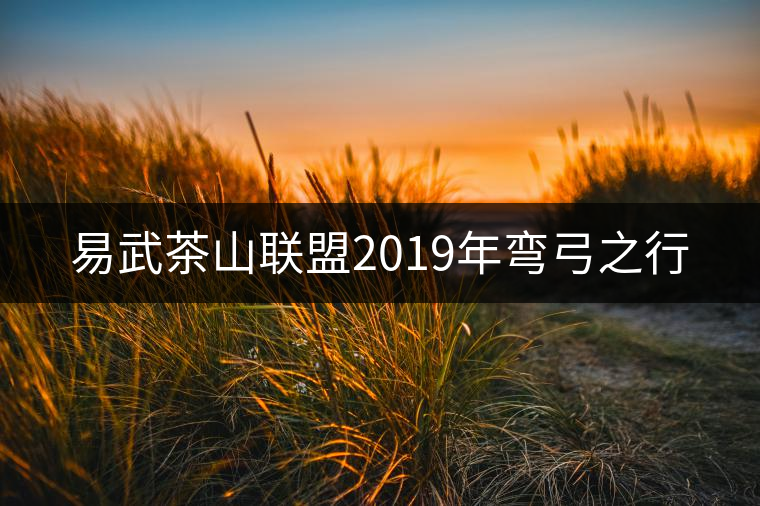 易武茶山聯盟2019年彎弓之行 易武茶山聯盟2019年彎弓之行