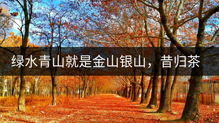 綠水青山就是金山銀山，昔歸茶農唱著“茶歌”奔小康