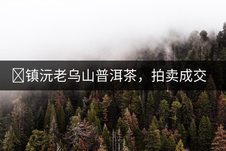?鎮沅老烏山普洱茶，拍賣成交價再創新高