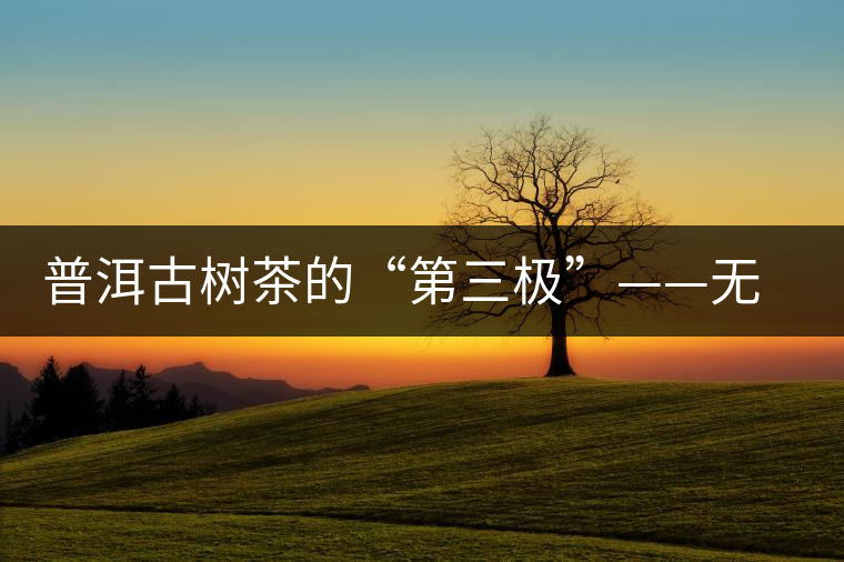 普洱古樹茶的“第三極”——無量山茶區 普洱古樹茶的“第三極”——無量山茶區