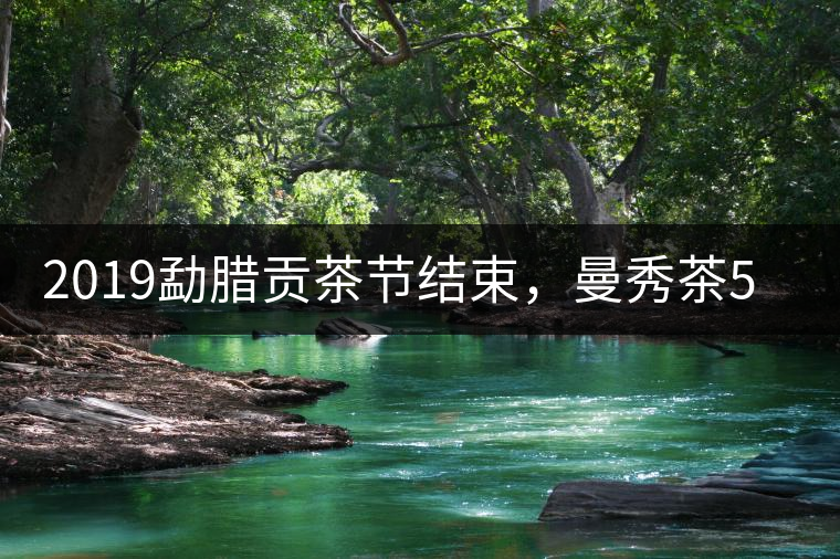 2019勐臘貢茶節結束,曼秀茶5公斤107萬奪得金獎 2019勐臘貢茶節結束,曼秀茶5公斤107萬奪得金獎