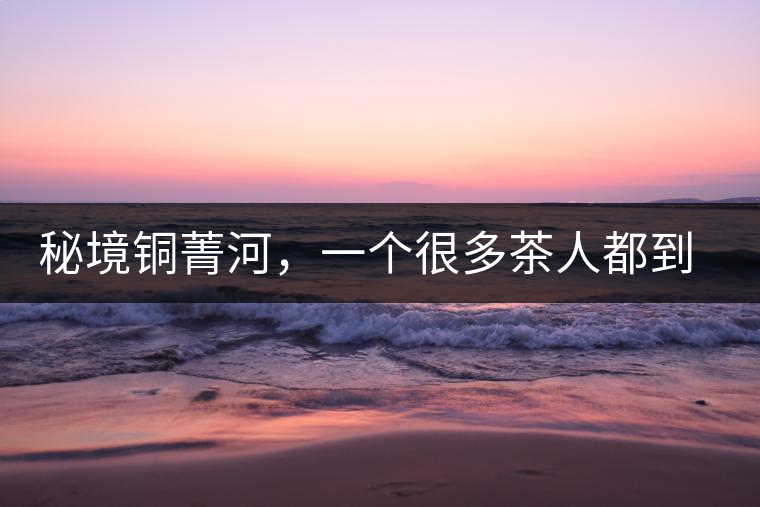 秘境銅菁河,一個很多茶人都到不了的地方 秘境銅菁河,一個很多茶人都到不了的地方