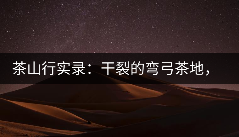 茶山行實(shí)錄：干裂的彎弓茶地，干旱減產(chǎn)已成定局