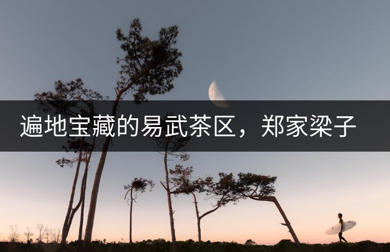 遍地寶藏的易武茶區,鄭家梁子荒田村古樹茶介紹 遍地寶藏的易武茶區,鄭家梁子荒田村古樹茶介紹