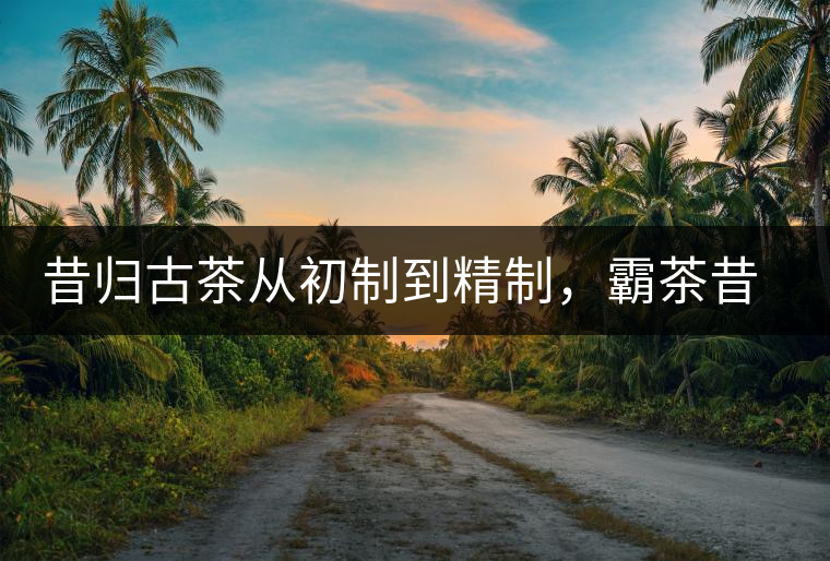 昔歸古茶從初制到精制，霸茶昔歸茶農專業合作社成立
