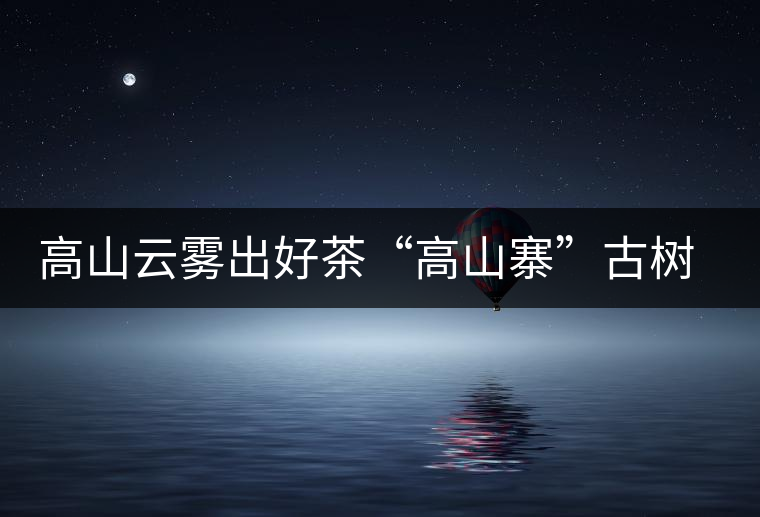 高山云霧出好茶“高山寨”古樹茶高海拔的獨特品質
