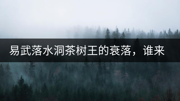 易武落水洞茶樹王的衰落，誰來關注古樹茶？