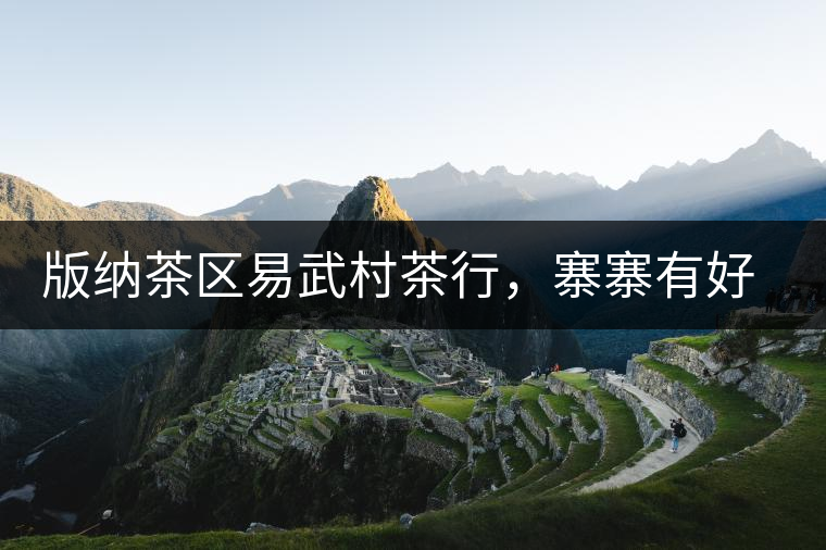 版納茶區易武村茶行,寨寨有好茶處處古茶香 版納茶區易武村茶行,寨寨有好茶處處古茶香