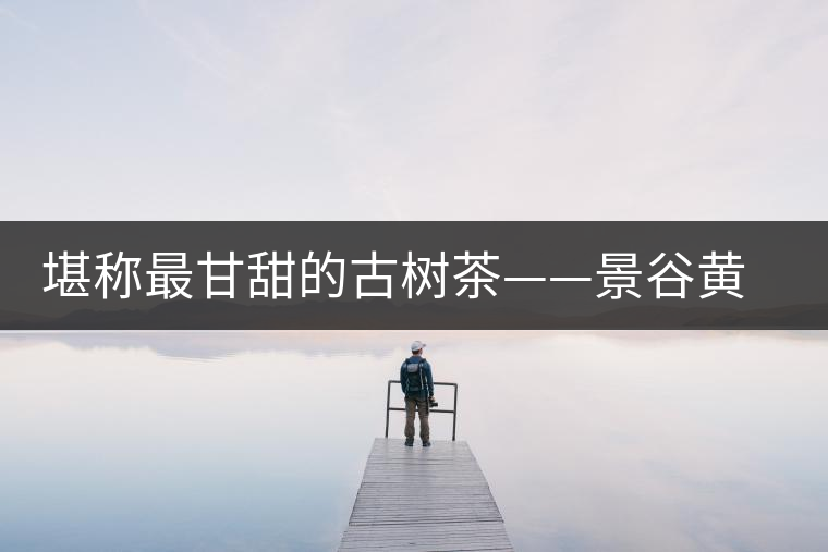 堪稱最甘甜的古樹茶——景谷黃草壩普洱茶 堪稱最甘甜的古樹茶——景谷黃草壩普洱茶