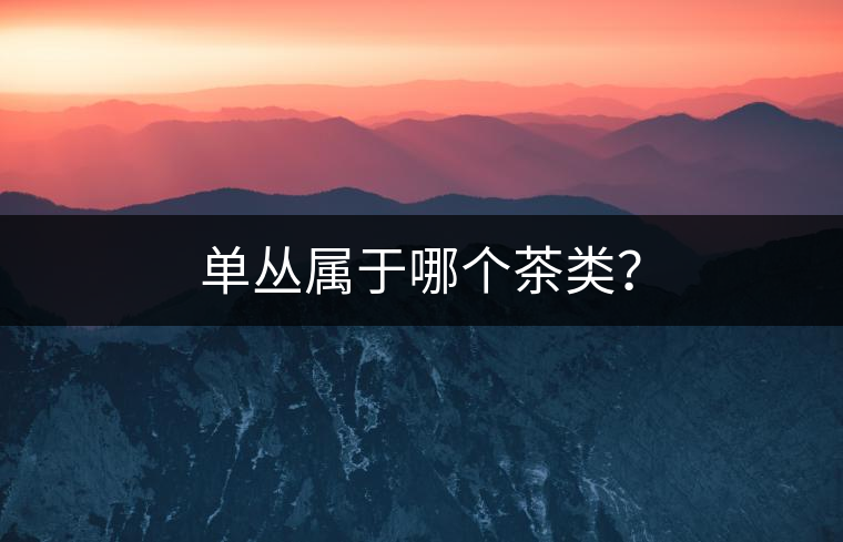 單叢屬于哪個茶類? 單叢屬于哪個茶類?
