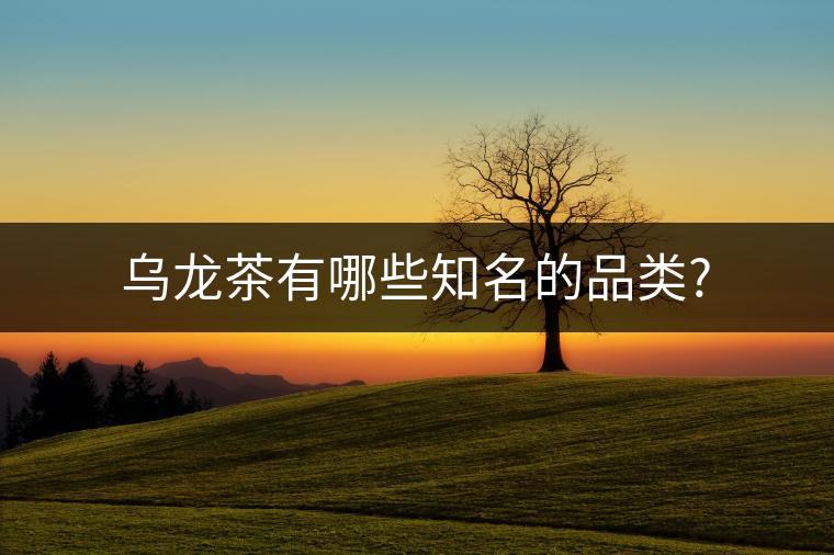烏龍茶有哪些知名的品類(lèi)?