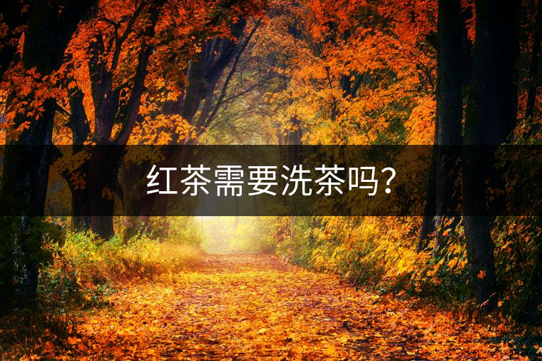 紅茶需要洗茶嗎？