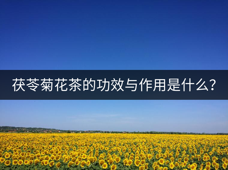 茯苓菊花茶的功效與作用是什么? 茯苓菊花茶的功效與作用是什么?