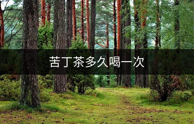 苦丁茶多久喝一次 苦丁茶多久喝一次