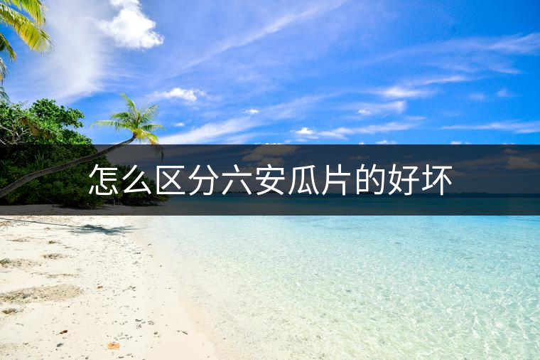 怎么區分六安瓜片的好壞