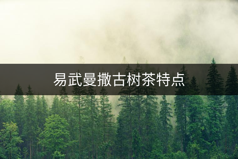 易武曼撒古樹(shù)茶特點(diǎn) 易武曼撒古樹(shù)茶特點(diǎn)