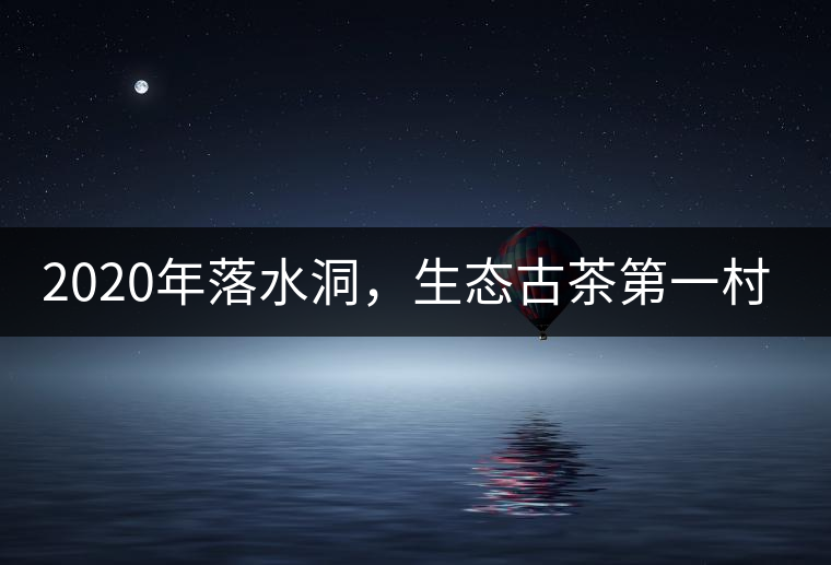 2020年落水洞,生態古茶第一村-易武中聘號 2020年落水洞,生態古茶第一村-易武中聘號