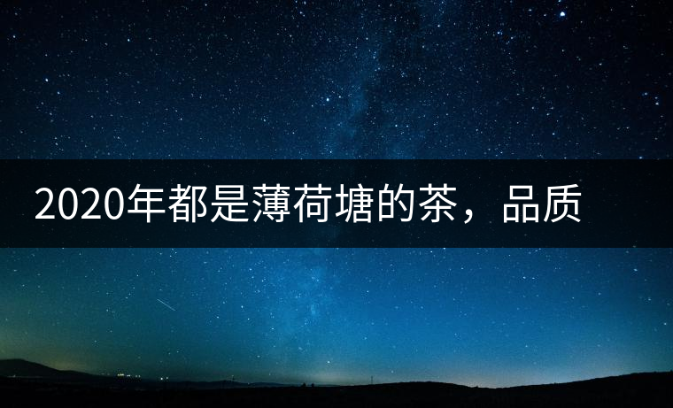2020年都是薄荷塘的茶,品質差別為什么這么大-易武中聘號 2020年都是薄荷塘的茶,品質差別為什么這么大-易武中聘號