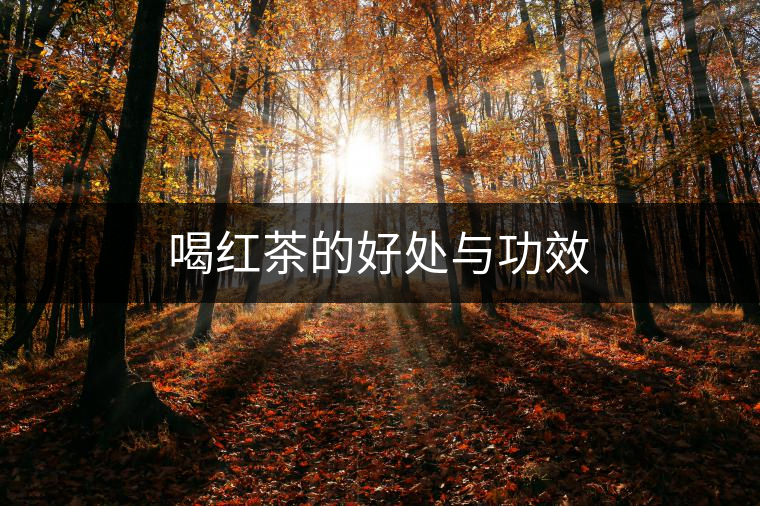 喝紅茶的好處與功效 喝紅茶的好處與功效