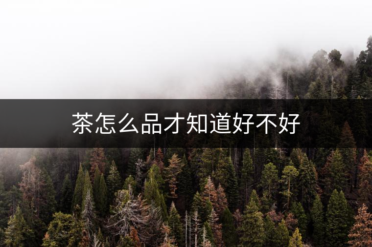 茶怎么品才知道好不好 茶怎么品才知道好不好