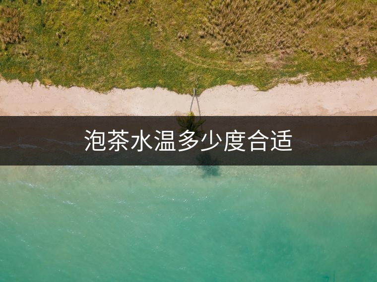 泡茶水溫多少度合適 泡茶水溫多少度合適
