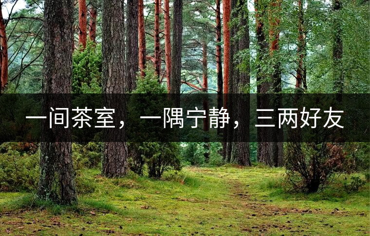 一間茶室，一隅寧靜，三兩好友