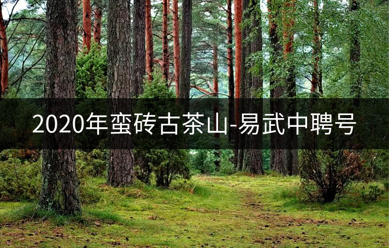 2020年蠻磚古茶山-易武中聘號 2020年蠻磚古茶山-易武中聘號