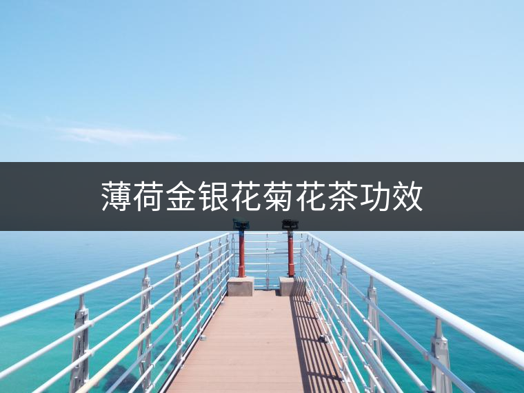 薄荷金銀花菊花茶功效