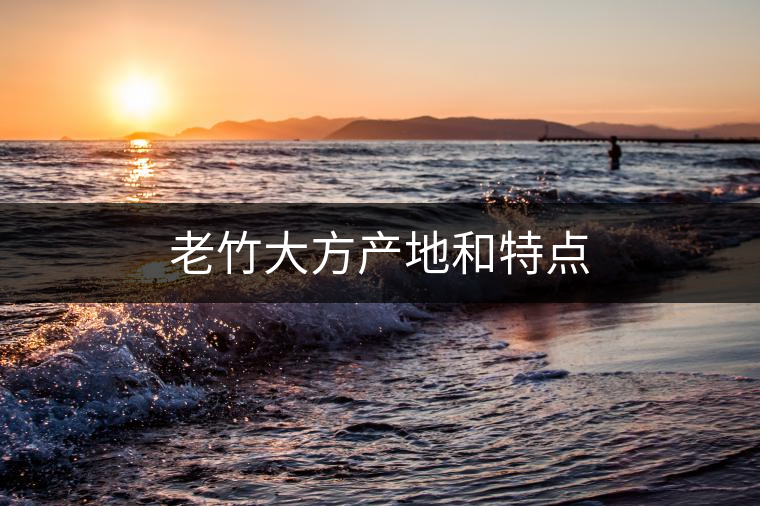 老竹大方產地和特點