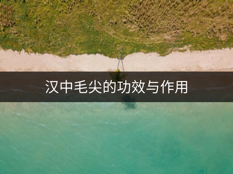 漢中毛尖的功效與作用 漢中毛尖的功效與作用