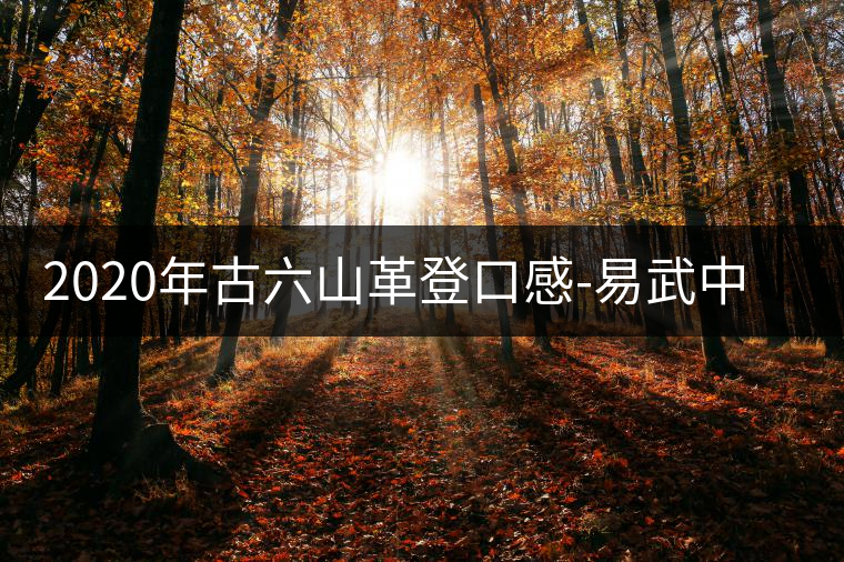 2020年古六山革登口感-易武中聘號 2020年古六山革登口感-易武中聘號