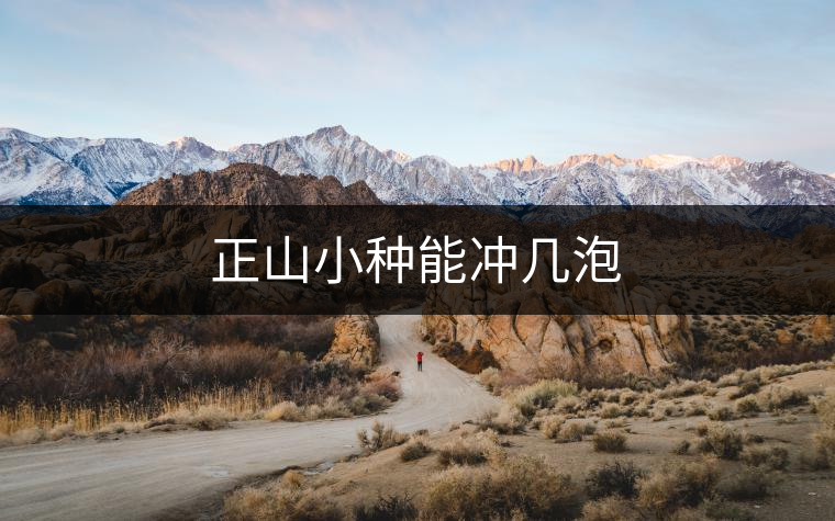 正山小種能沖幾泡